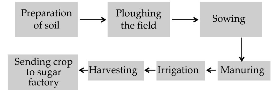 NCERT Solutions for Class 8 Science Chapter 1 Crop Production and Management - 2